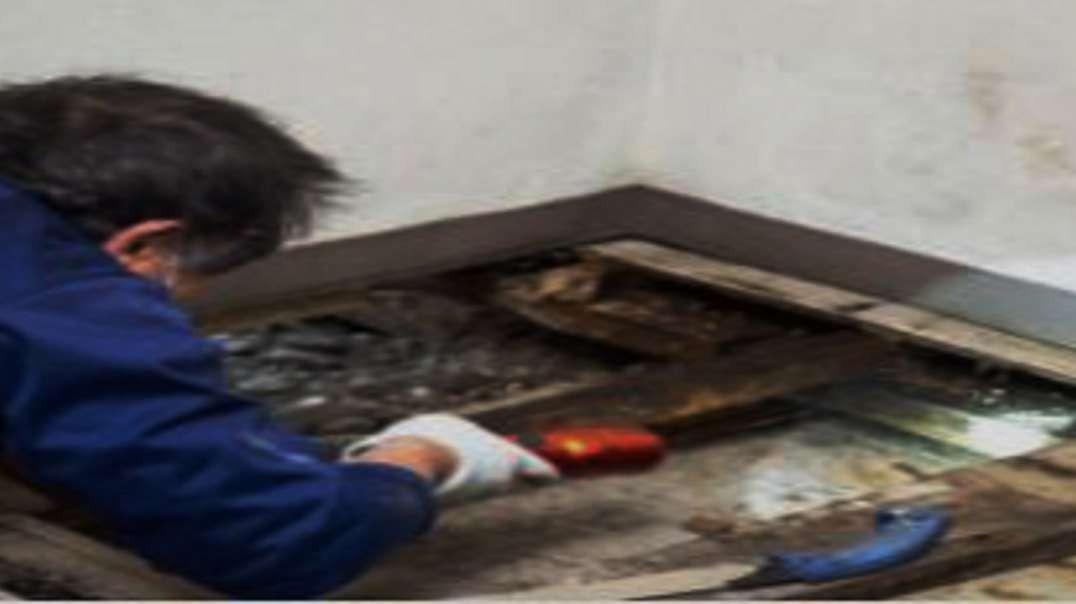 ALL US Mold Removal in Palm Desert, CA