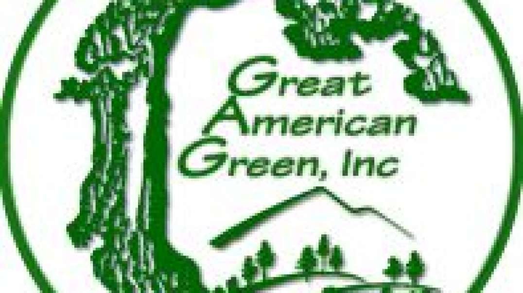 Great American Green - Artificial Turf Installation in Atlanta, GA
