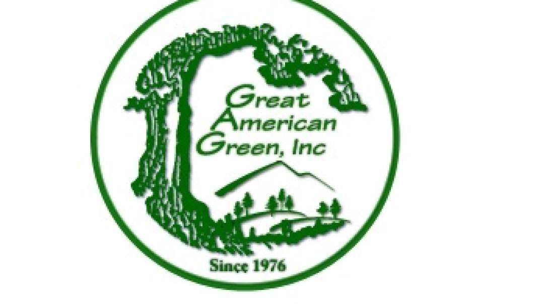 Great American Green - Synthetic Turf in Atlanta, GA