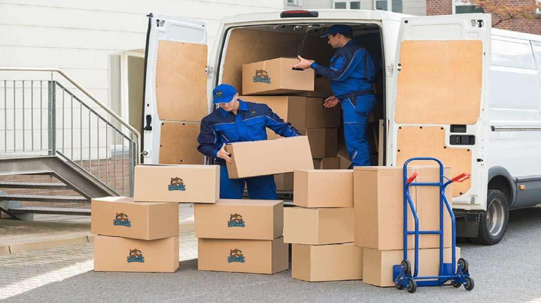 Ecoway Movers : Moving Company in Toronto, ON