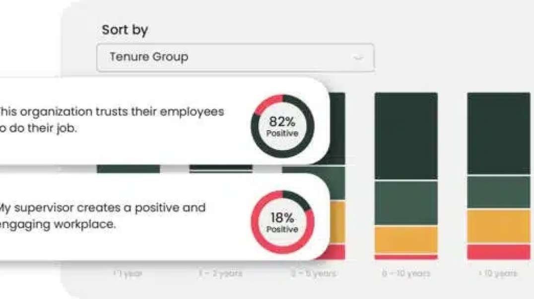 Employee Engagement Survey Questions | DecisionWise