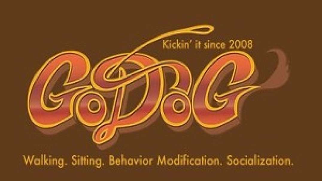 GoDog - Best Dog Walking Company in Brooklyn, NY