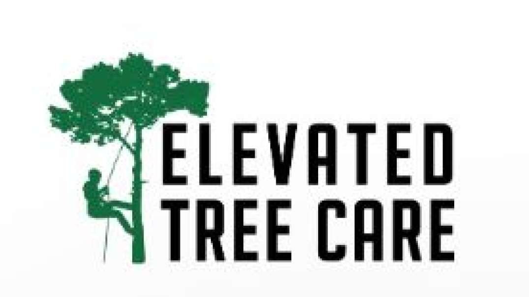 Elevated Tree Care in Pittsburgh, PA