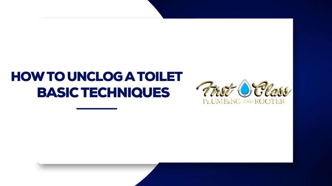 How to Unclog a Toilet Basic Techniques