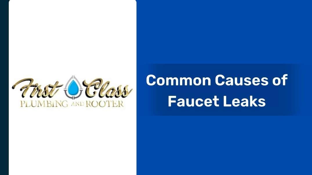 Common Causes of Faucet Leaks
